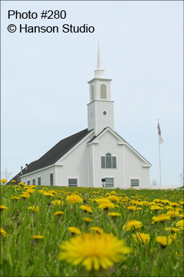 New Haven, VT - United Reformed Church and Dandelions 